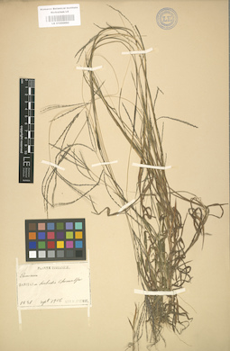 LE 01000892