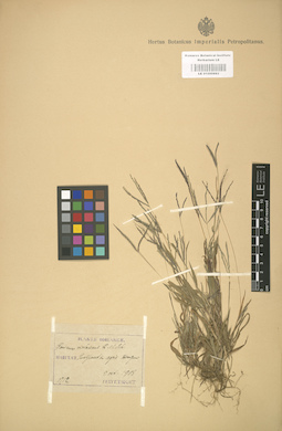 LE 01000893