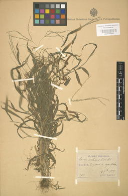 LE 01000895