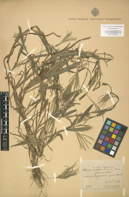 LE 01000896