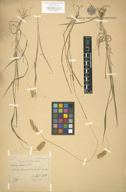 LE 01000904