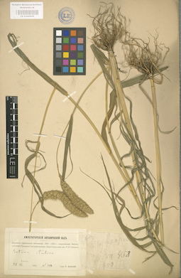 LE 01000926