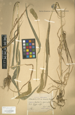 LE 01000927