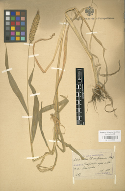 LE 01000932