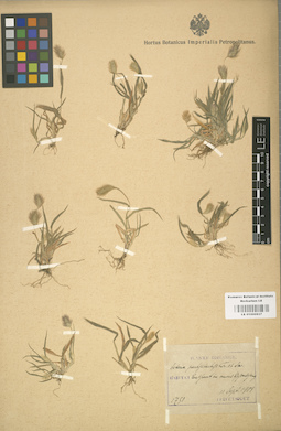 LE 01000937