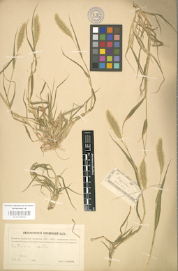 LE 01000942