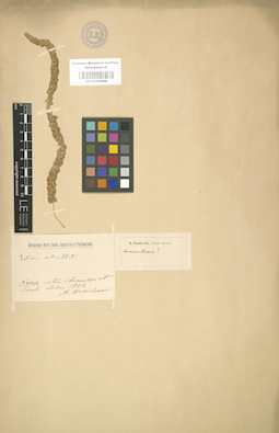 LE 01000946
