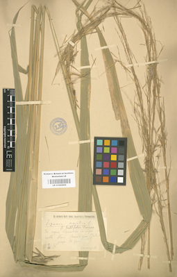 LE 01000969