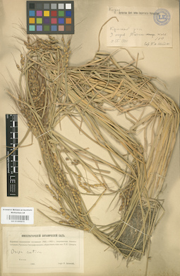 LE 01000975