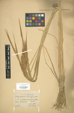 LE 01000977