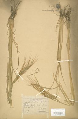 LE 01000979