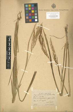 LE 01000981