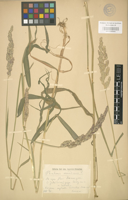 LE 01000982