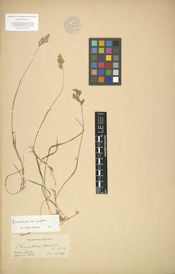 LE 01000984