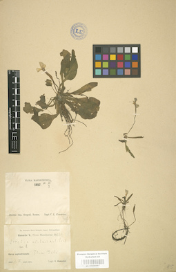 LE 01000987