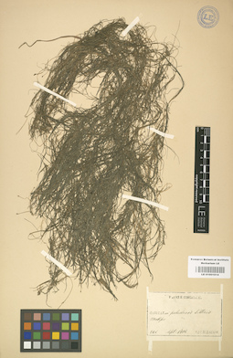 LE 01001014