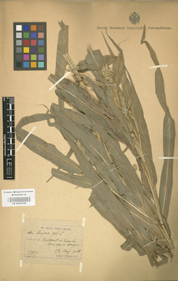 LE 01001039