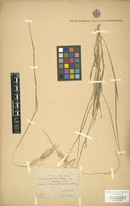 LE 01001041