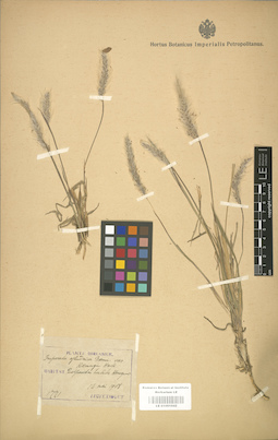 LE 01001042