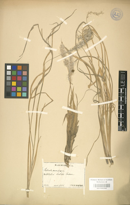 LE 01001043