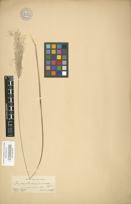 LE 01001044