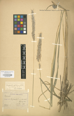 LE 01001045