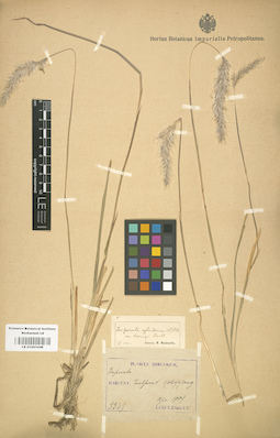 LE 01001046