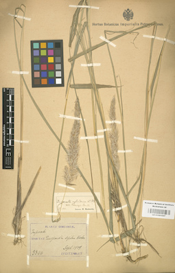 LE 01001047