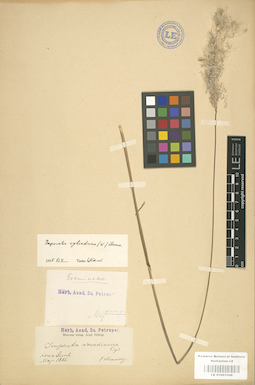 LE 01001048