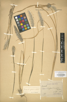 LE 01001049