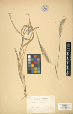 LE 01001050