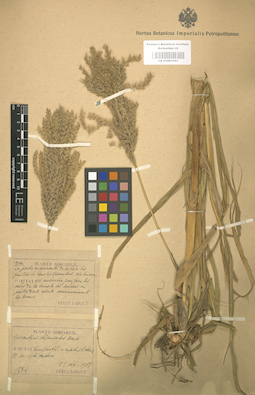LE 01001051