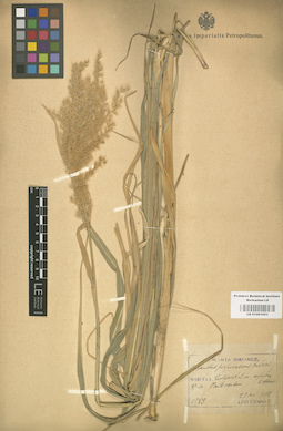 LE 01001053