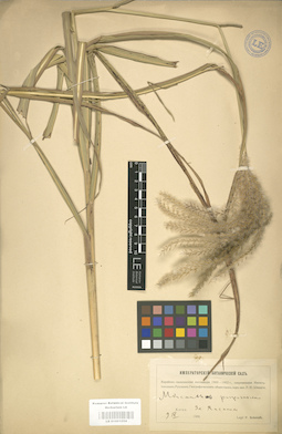 LE 01001054