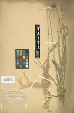 LE 01001056