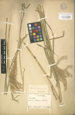 LE 01001057