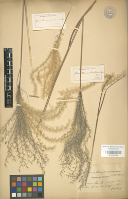 LE 01001058