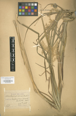LE 01001059
