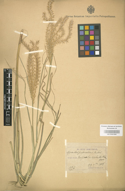 LE 01001060