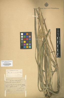 LE 01001061