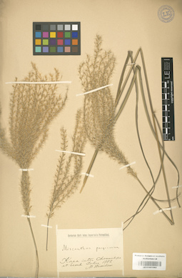 LE 01001062