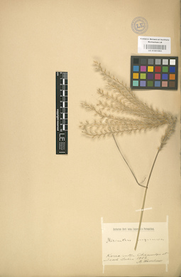 LE 01001063
