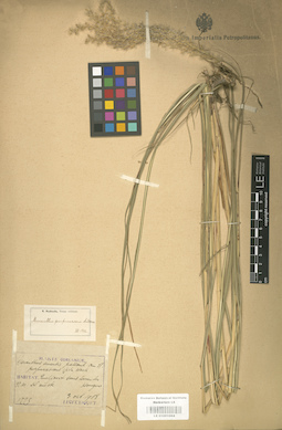 LE 01001064