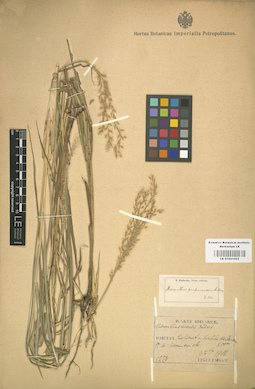 LE 01001065