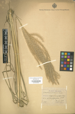 LE 01001066