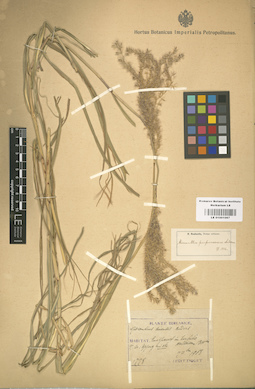 LE 01001067