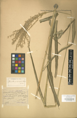LE 01001068