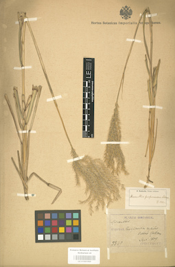 LE 01001069
