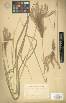 LE 01001070
