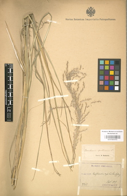 LE 01001072